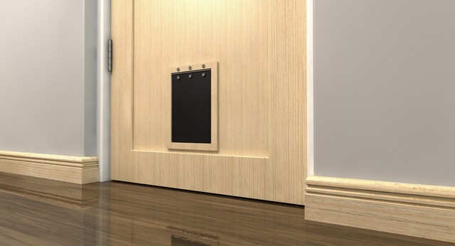 Cat Flap Installation Herne Hill, SE24