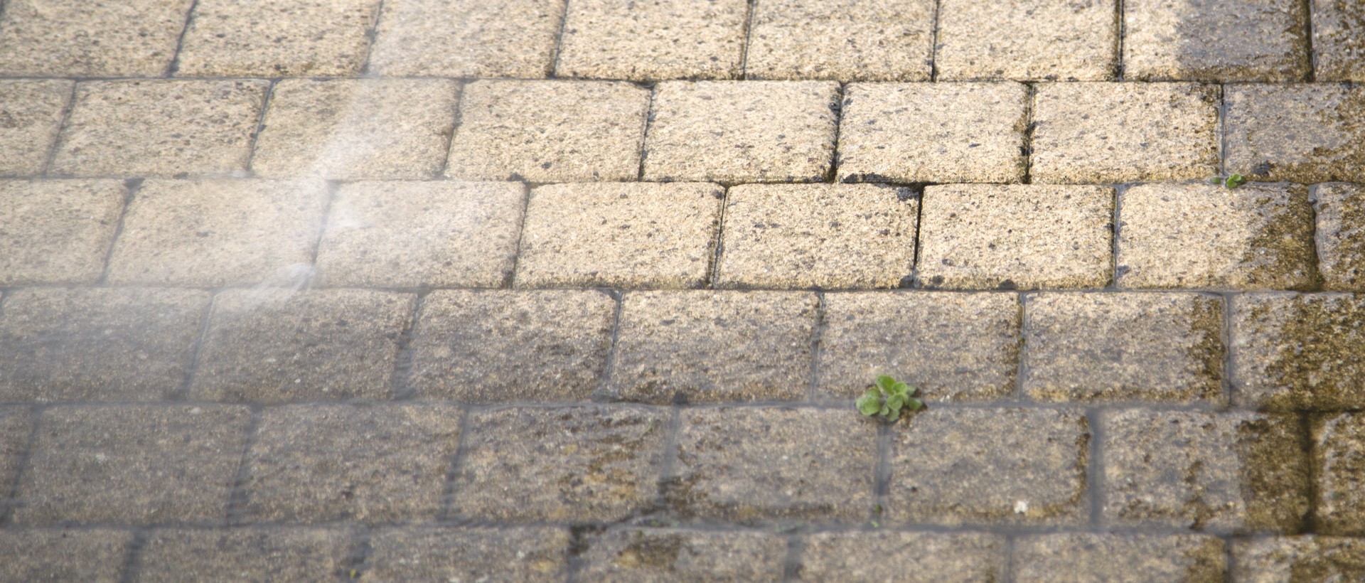 flagging and patios SE24